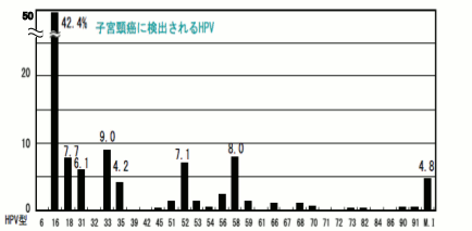 グラフ　日本で子宮頸がんから検出されるヒトパピローマウィルスの型